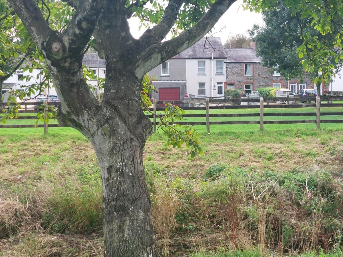 Pondside Holiday home Carmarthen